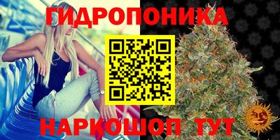 эйфоретик Пенза