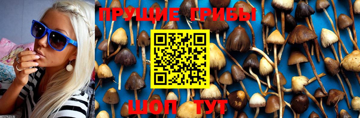 Галлюциногенные грибы MAGIC MUSHROOMS Новочебоксарск